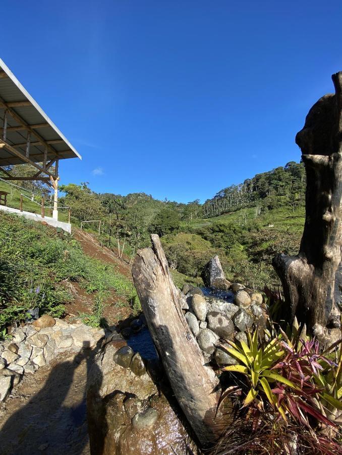 Arte De Plumas Birding Lodge 카르타고 외부 사진
