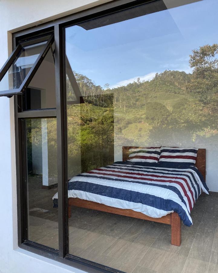 Arte De Plumas Birding Lodge 카르타고 외부 사진