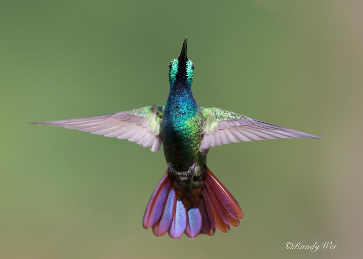Arte De Plumas Birding Lodge 카르타고 외부 사진